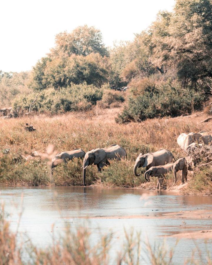 שמורת צייד בלולה Maninghi Lodge מראה חיצוני תמונה